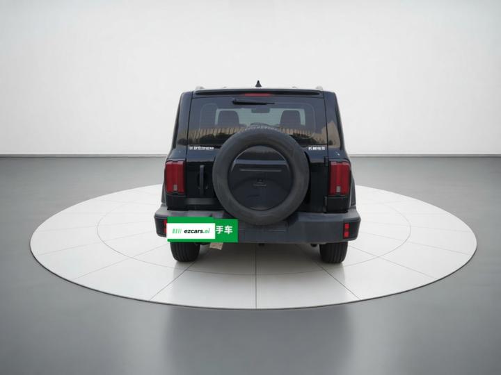 300 2024 2.0T Conqueror photo 5