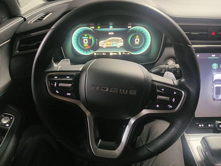 RX5 EV 2020 ePLUS Luxury photo 6