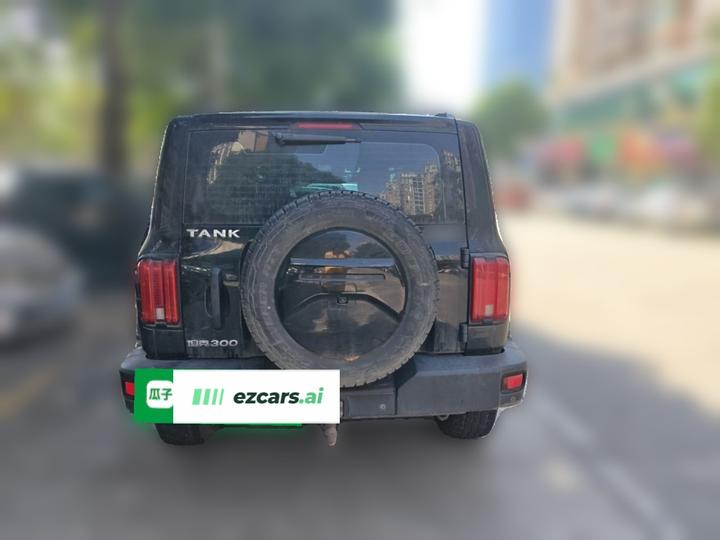 300 2021 Off-road 2.0T Conqueror photo 5