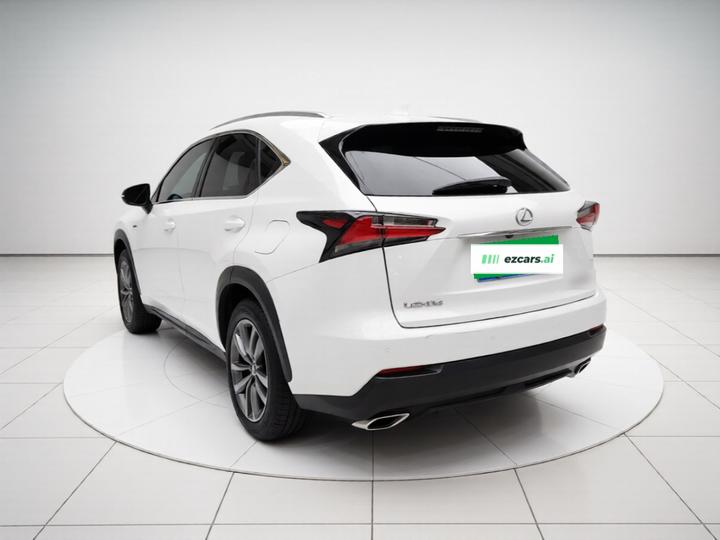 NX 2015 200t photo 4