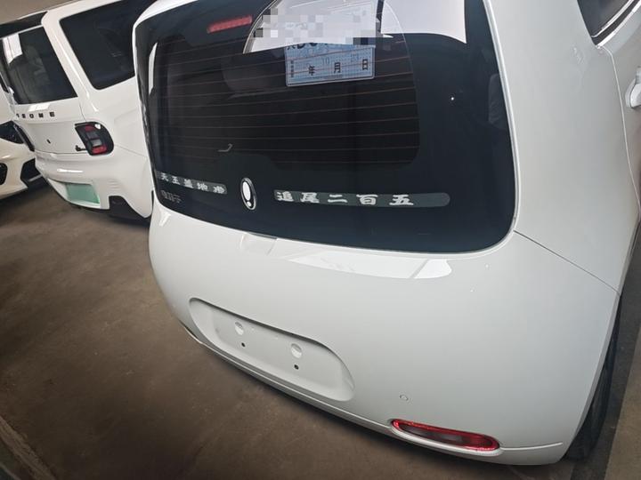 2022 Upgraded 305km Luxury NCM photo 3