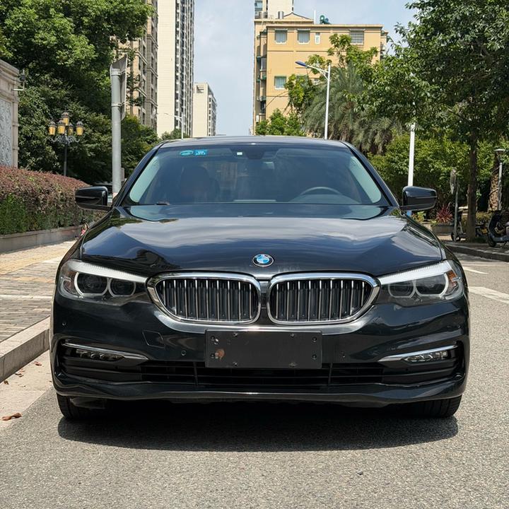5 Series 2018 528Li Special photo 2