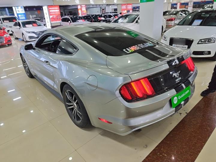 Mustang Parallel Import photo 4