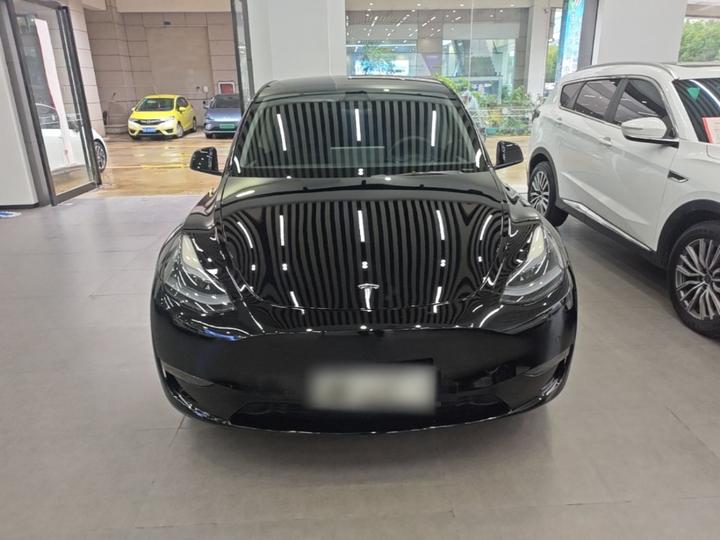 Model Y 2023 Long Range AWD photo 2