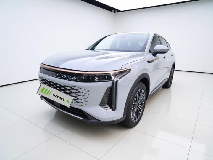 Yaoguang 2023 400T AWD Preferred