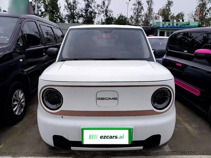 2025 210km Panda photo 2