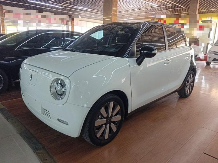 2021 351km Luxury