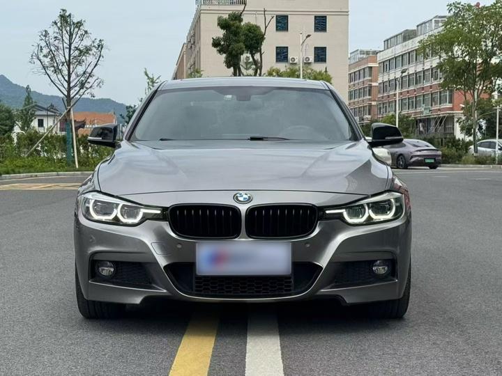 3 Series 2018 320Li M Sport photo 2