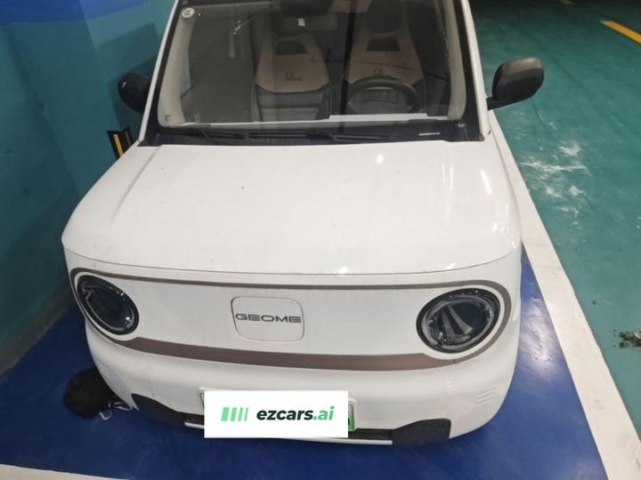 2023 Panda mini 200km Endurance Bear photo 2