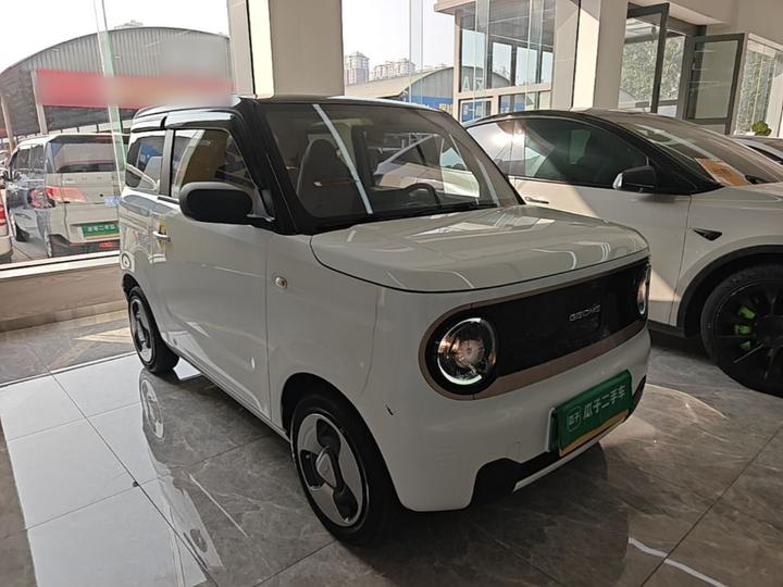 2023 Panda mini photo 3