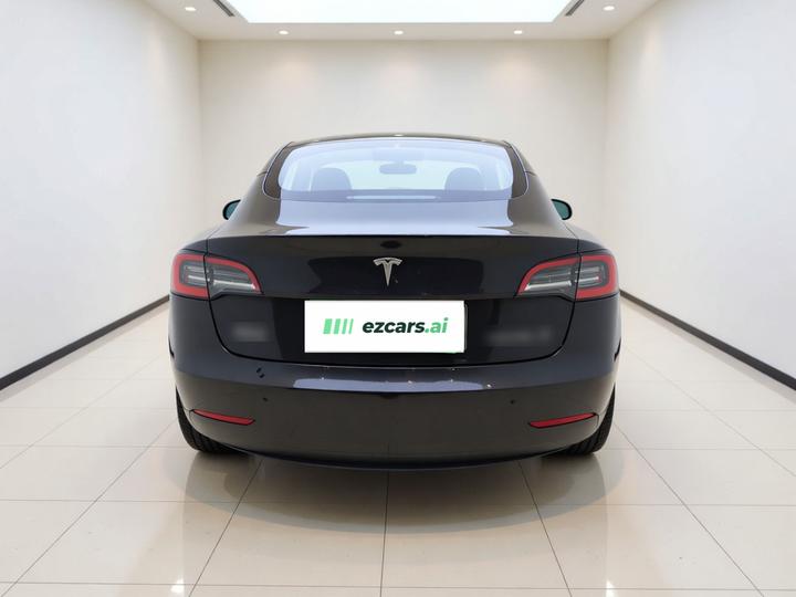 Model 3 2021 Facelift Standard Range RWD Upgraded 3D1 photo 5