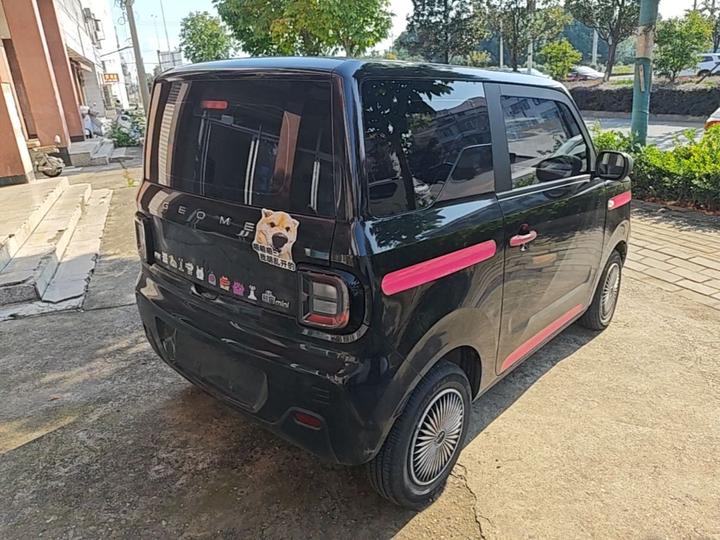 2023 Panda mini 200km Endurance Bear photo 6
