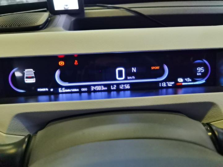 2023 Panda mini 200km Endurance Bear photo 7