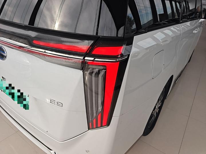 GAC Trumpchi E9 2023 E9 MAX photo 7