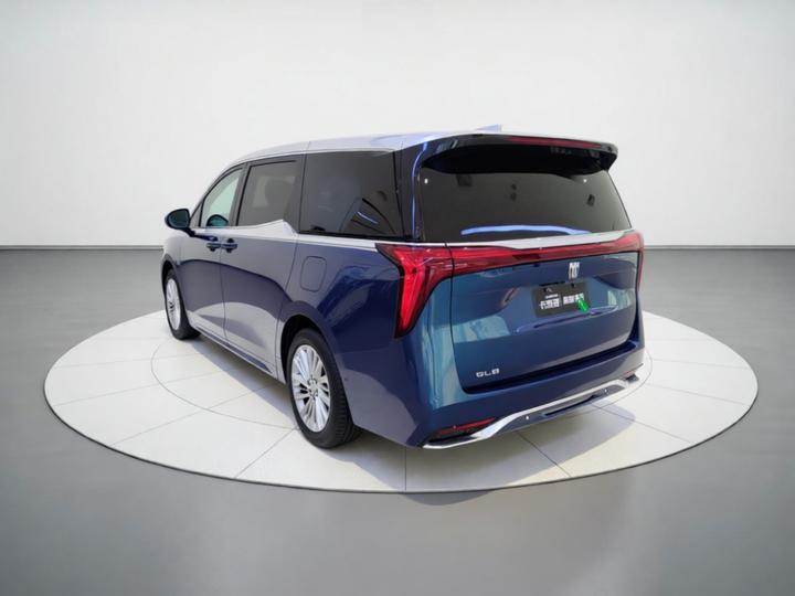 2025 2.0T 6-Seater photo 4