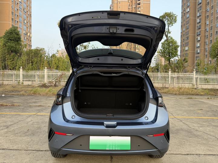Dolphin 2025 ADAS 410km Fashion photo 8