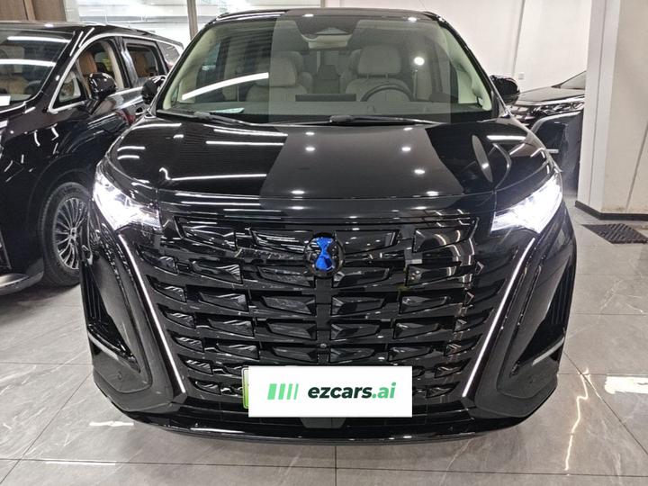 D9 2024 DM-i 980 AWD Flagship photo 2
