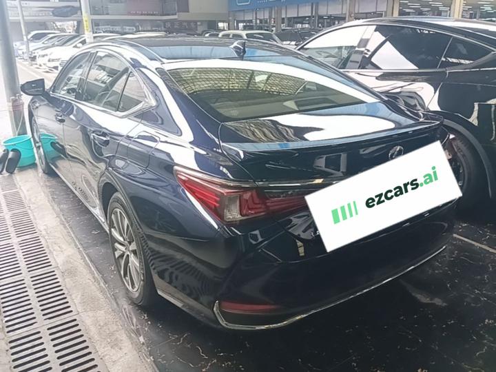 ES 2020 300h Excellence photo 4