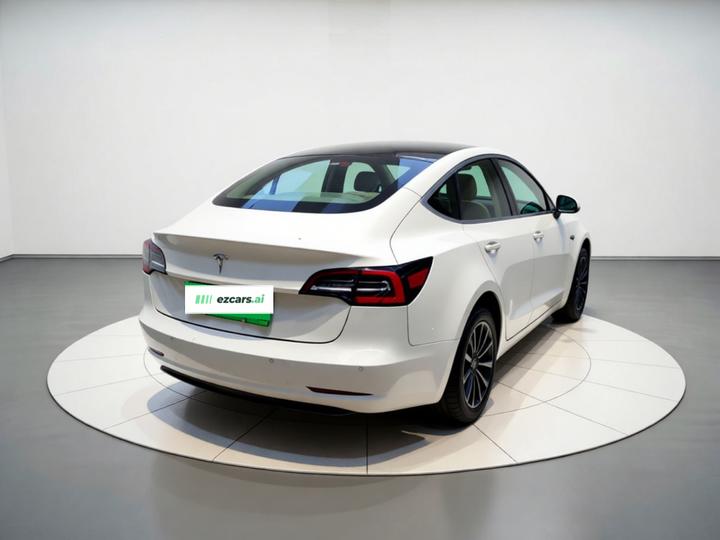 Model 3 Imported 2019 Standard Range RWD Upgraded 52 photo 3