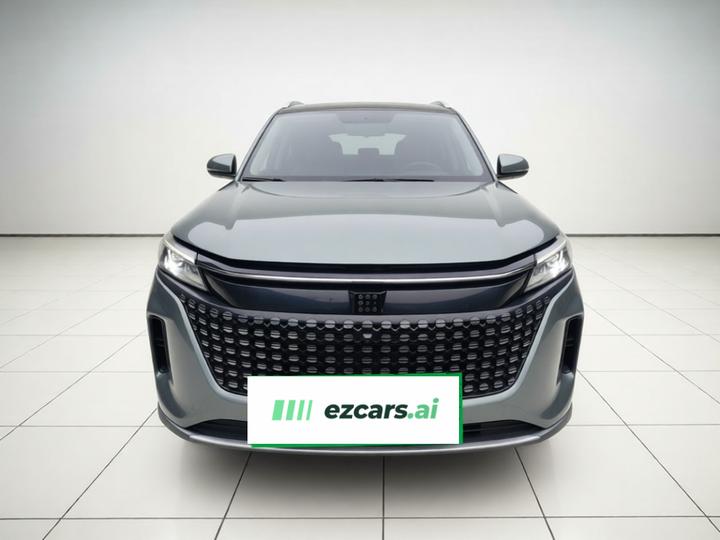 Bluelectric E5 2023 1.5L DE-i 100KM 7-Seater photo 2