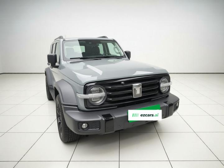 300 2021 Off-road 2.0T photo 3