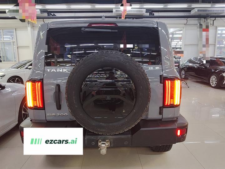 300 2021 Off-road 2.0T photo 5