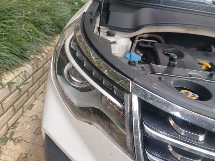 Sportage 2019 2.0L AT Smart Luxury photo 7