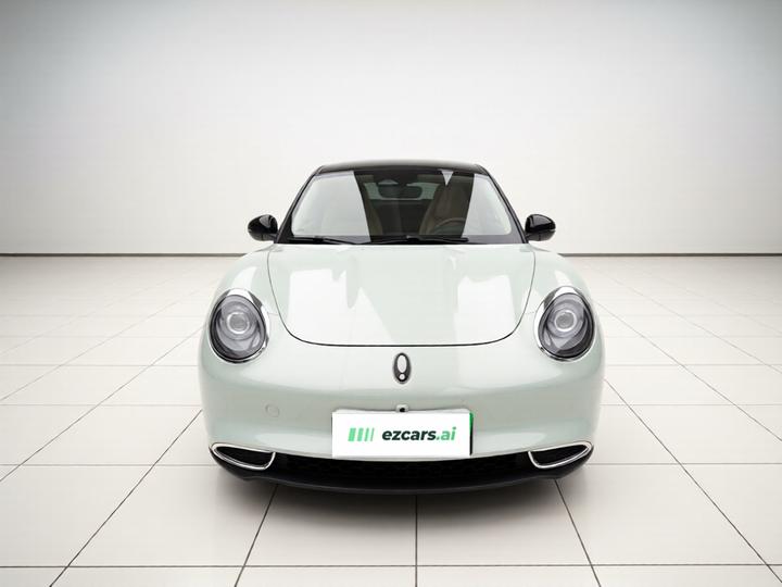 Good Cat 2023 401km Standard Range Luxury LFP photo 2