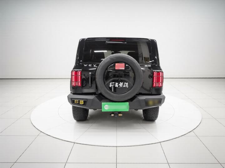 300 2021 Off-road 2.0T Conqueror photo 5