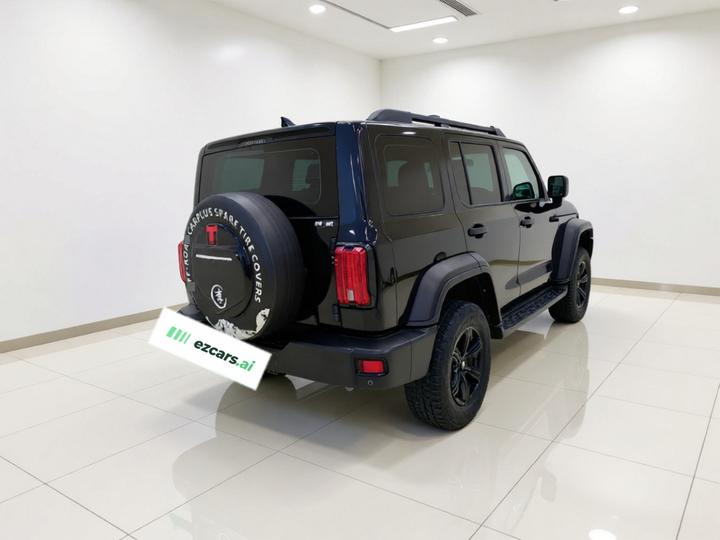 300 2021 Off-road 2.0T Conqueror photo 6