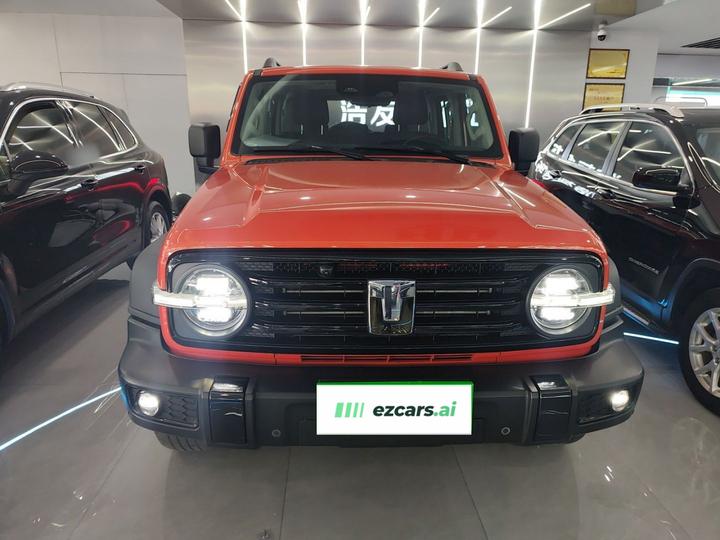 300 2021 Off-road 2.0T Conqueror photo 2