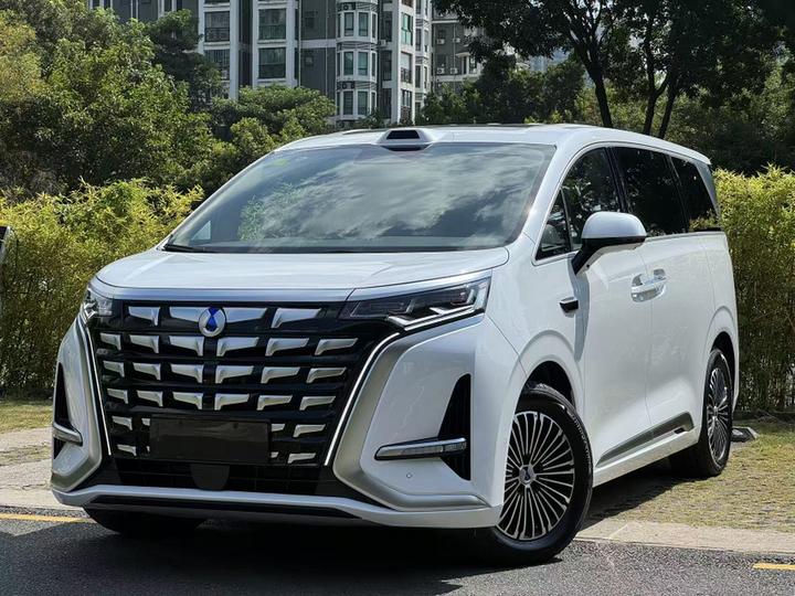 D9 2026 2nd Gen EV RWD Premium