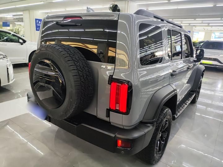 300 2021 Off-road 2.0T Conqueror photo 4