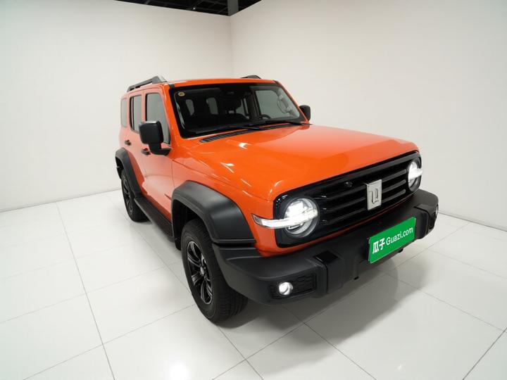 300 2023 Off-road 2.0T Conqueror photo 3