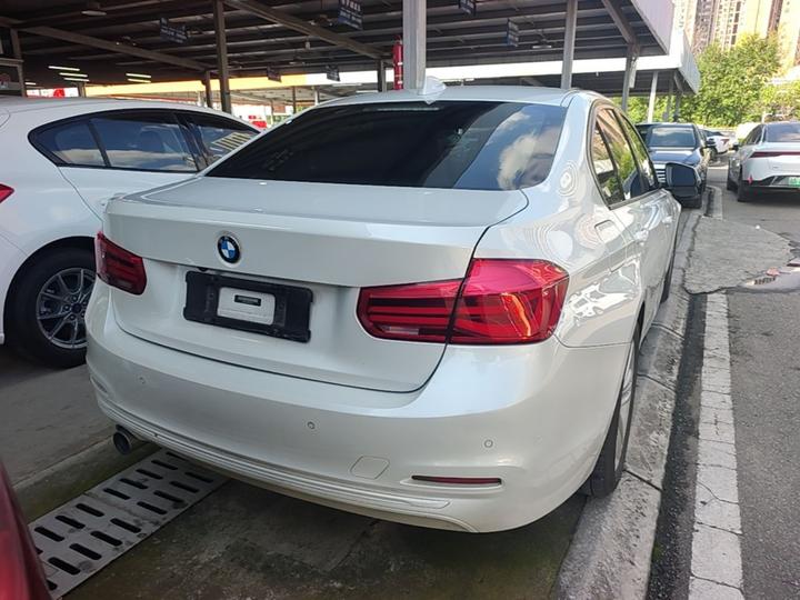 3 Series 2018 318i photo 3