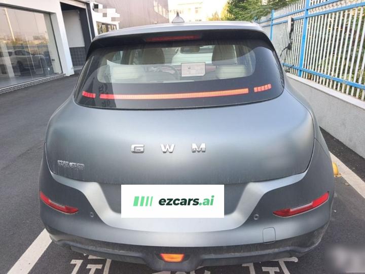 Good Cat 2025 430km Noble photo 5
