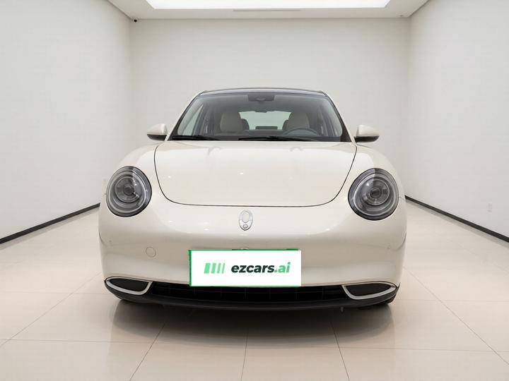 Good Cat 2023 401km Standard Range Luxury LFP photo 2
