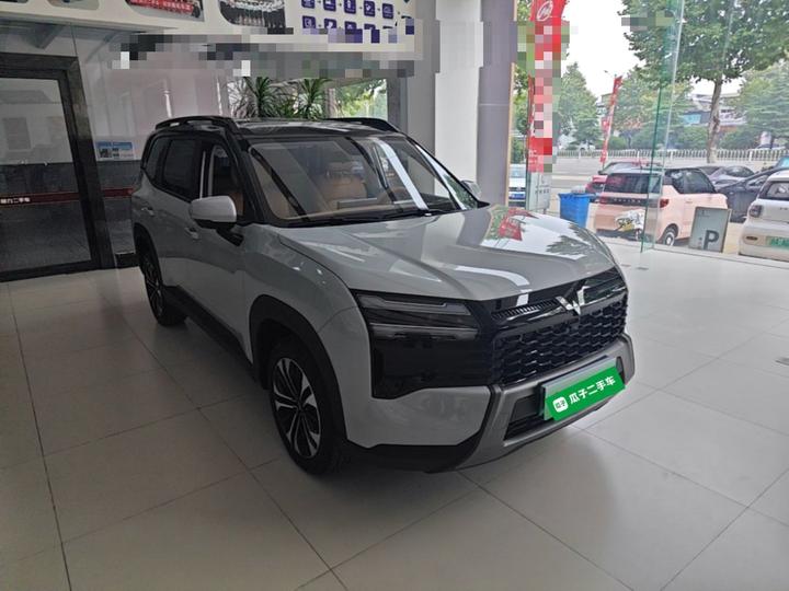560 EV 2026 125km Luxury photo 3