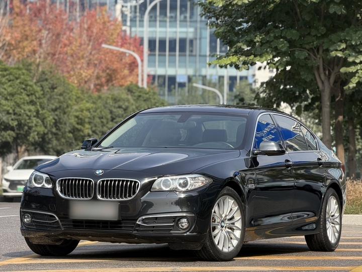 5 Series 2017 525Li Luxury Design Package photo 2