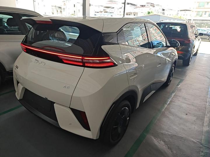 Seagull 2025 ADAS 305km photo 4