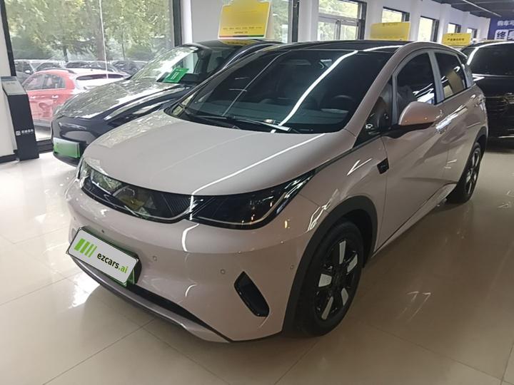 Dolphin 2025 ADAS 410km Fashion