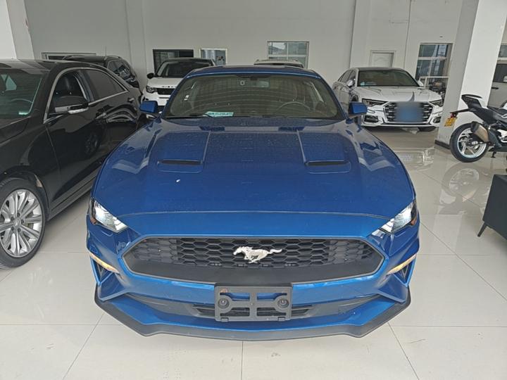 Mustang Parallel Import photo 2