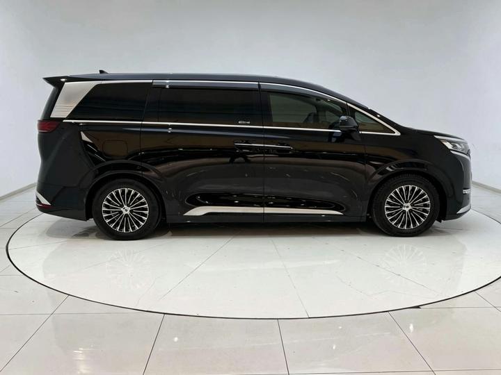 D9 2024 DM-i 980 AWD Noble photo 3
