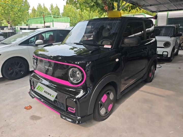 2025 210km Panda