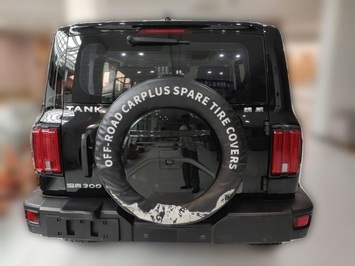 300 2021 Off-road 2.0T Conqueror photo 3