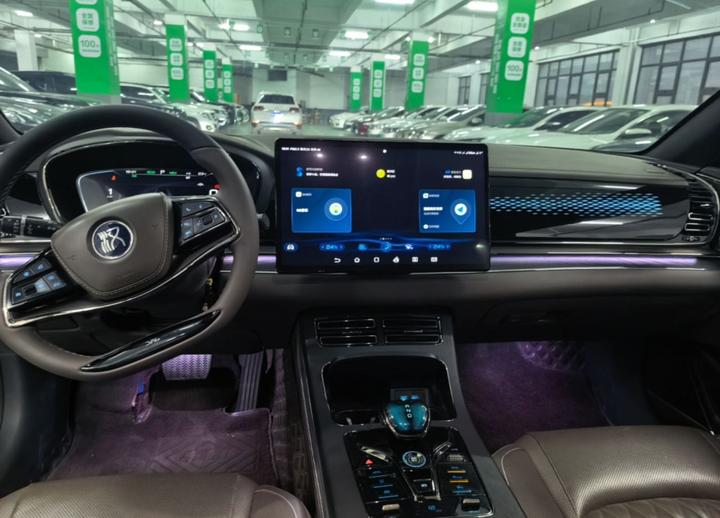Han 2020 DM AWD Performance Premium photo 6
