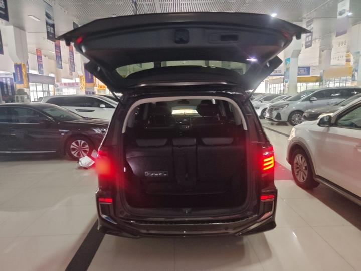 Elysion 2019 2.0L Hybrid Luxury photo 8