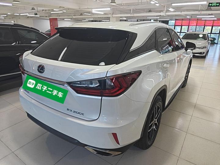 RX 2016 300 RWD Elite China V photo 6