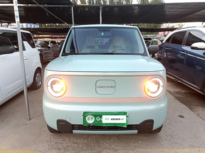 2024 Panda mini 200km Endurance Bear photo 2