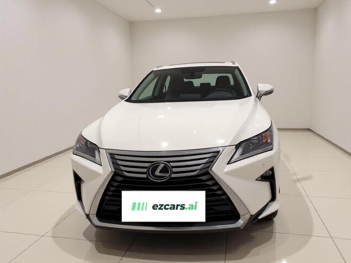 RX 2016 300 RWD Elite China V photo 2